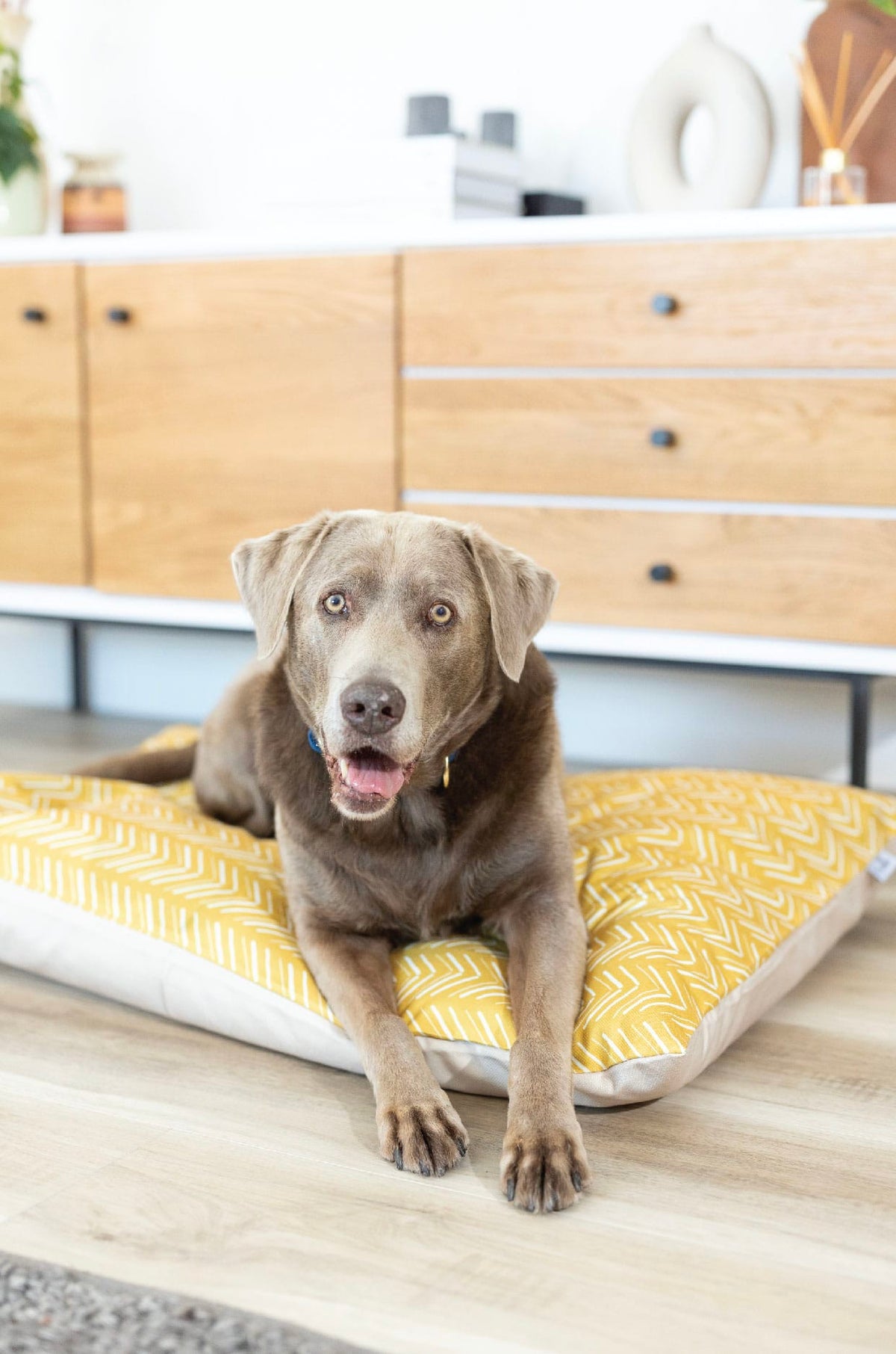Rafa Dog Bed