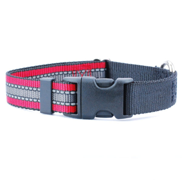 Reflective Red Nylon Dog Collar 5/8″ and 1″ by 2 Hounds Design, sold through Sniff and Shift