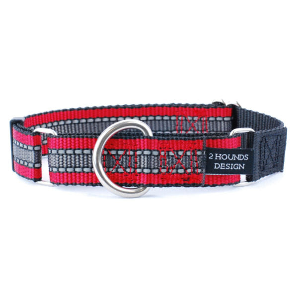 Reflective Red Nylon Martingale Dog Collar 5/8″ and 1″ by 2 Hounds Design, sold through Sniff and Shift
