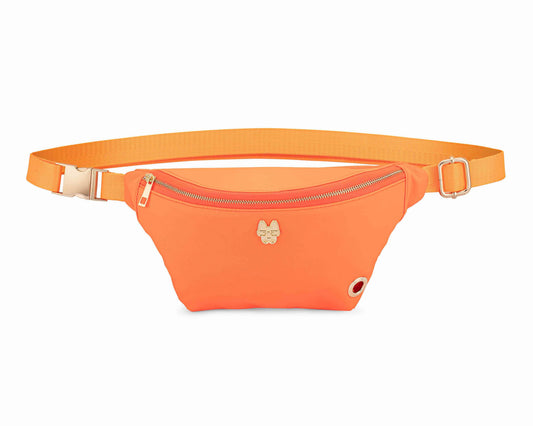Remi Waste Bag Holder and Treat Pouch, a nylon belt bag with gold hardware, Pink Papyrus Co., sold through Sniff and Shift