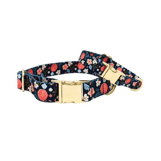 Riley Dog Collar, shown across XS, S, M and L sizes, Pink Papyrus Co., sold through Sniff and Shift