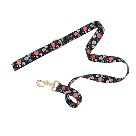 Riley Dog Leash with a padded grip handle, shown in 4 ft and 6 ft lengths, Pink Papyrus Co., sold through Sniff and Shift