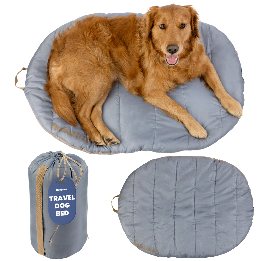 Travel Dog Bed, Foldable and Packable for Road Trip, Camping