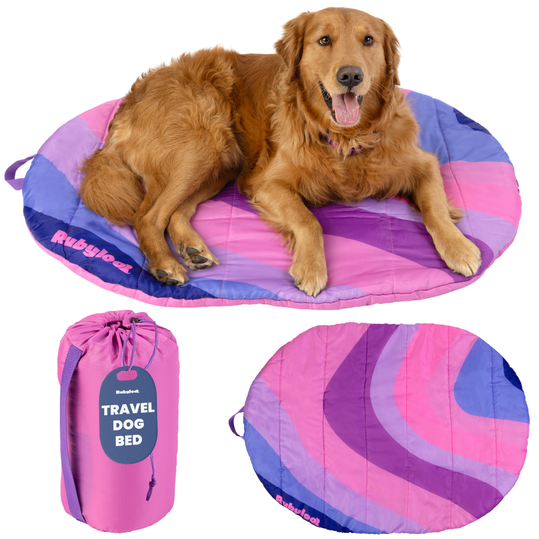 Travel Dog Bed, Foldable and Packable for Road Trip, Camping