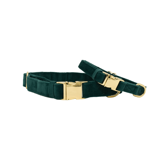 Rue Dog Collar in soft velvet, shown across XS, S, M and L sizes, Pink Papyrus Co., sold through Sniff and Shift