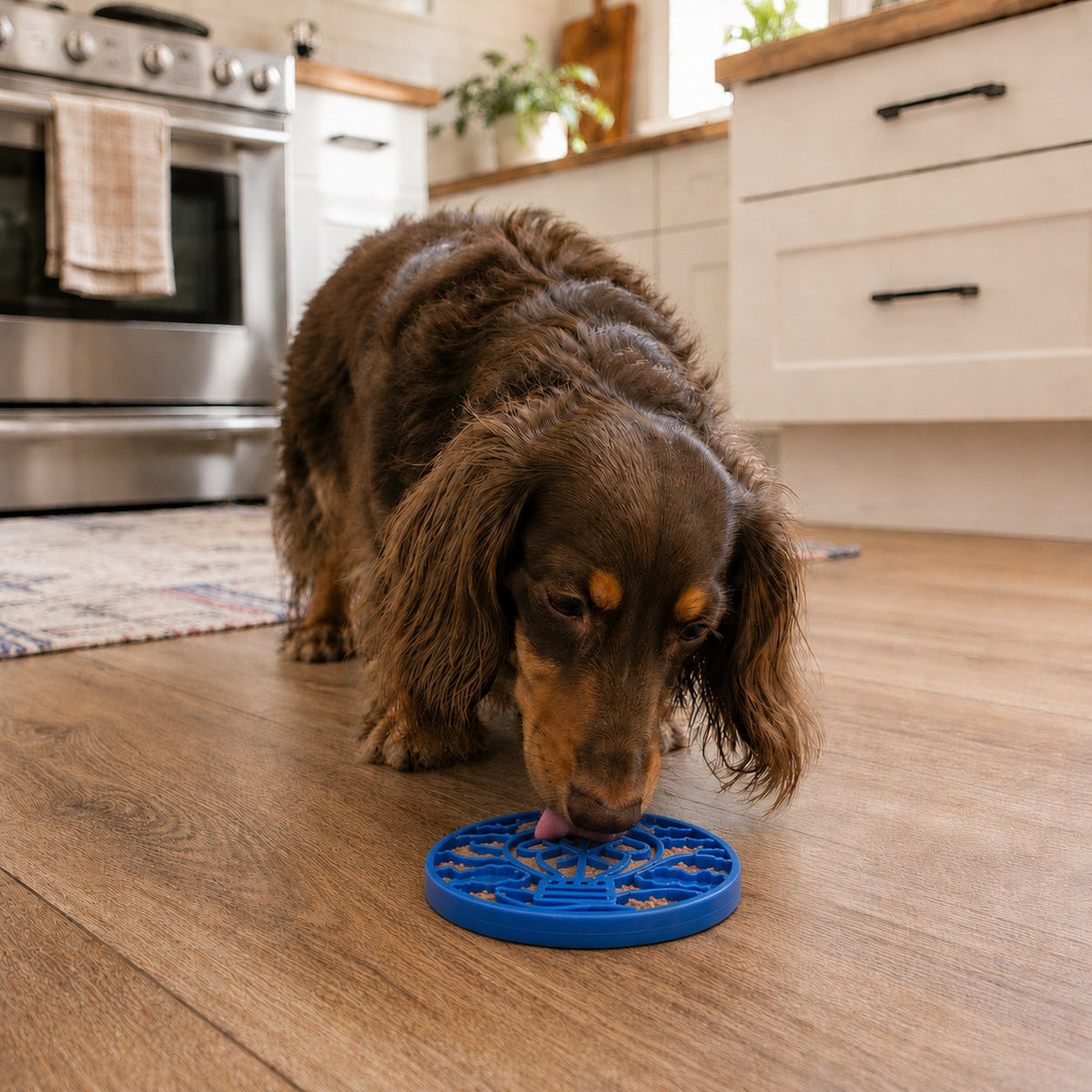 Air eCoin Nylon Lick Mat