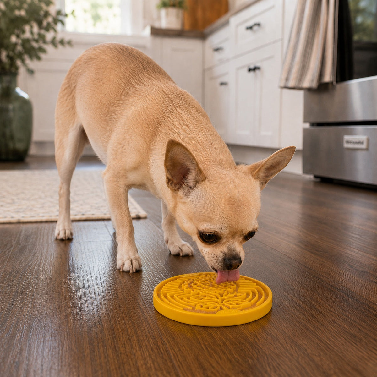 Earth eCoin Nylon Lick Mat