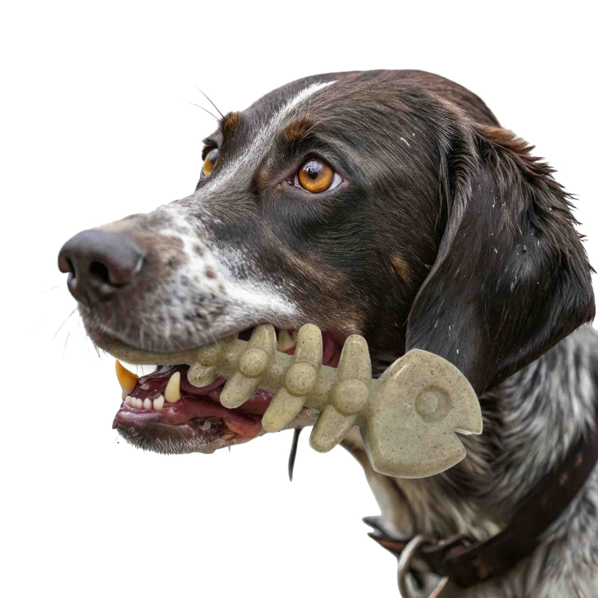 Fish Bone Nylon Chew Toy