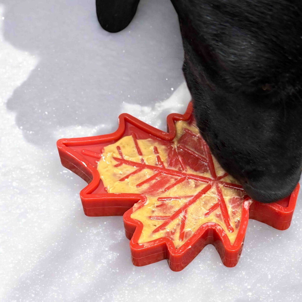 Canadian Maple Leaf Nylon Chew Toy