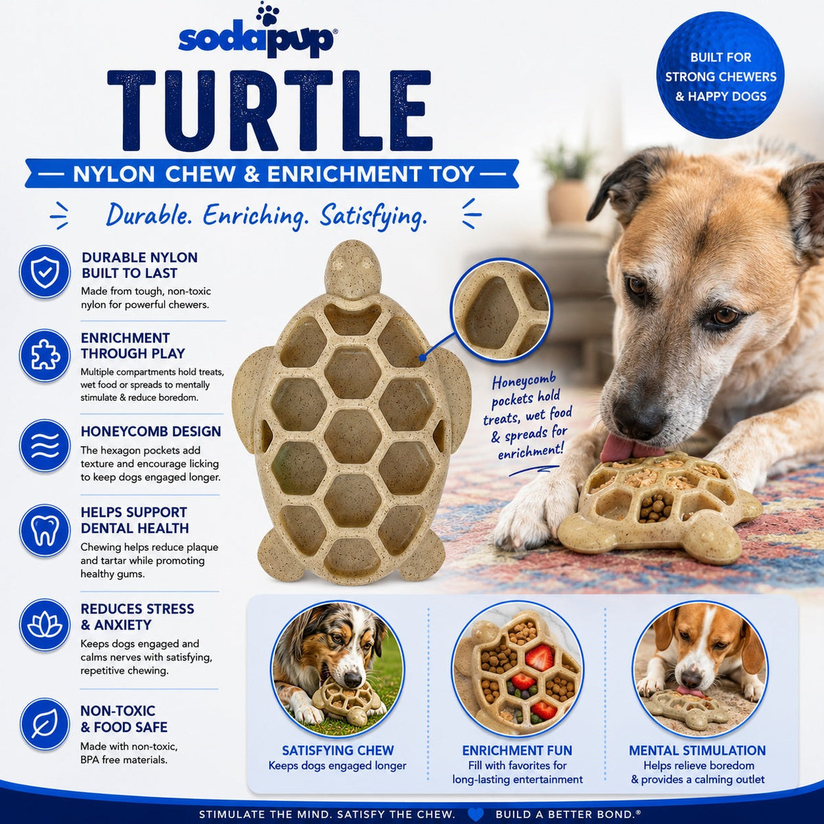 Turtle Nylon Chew Toy