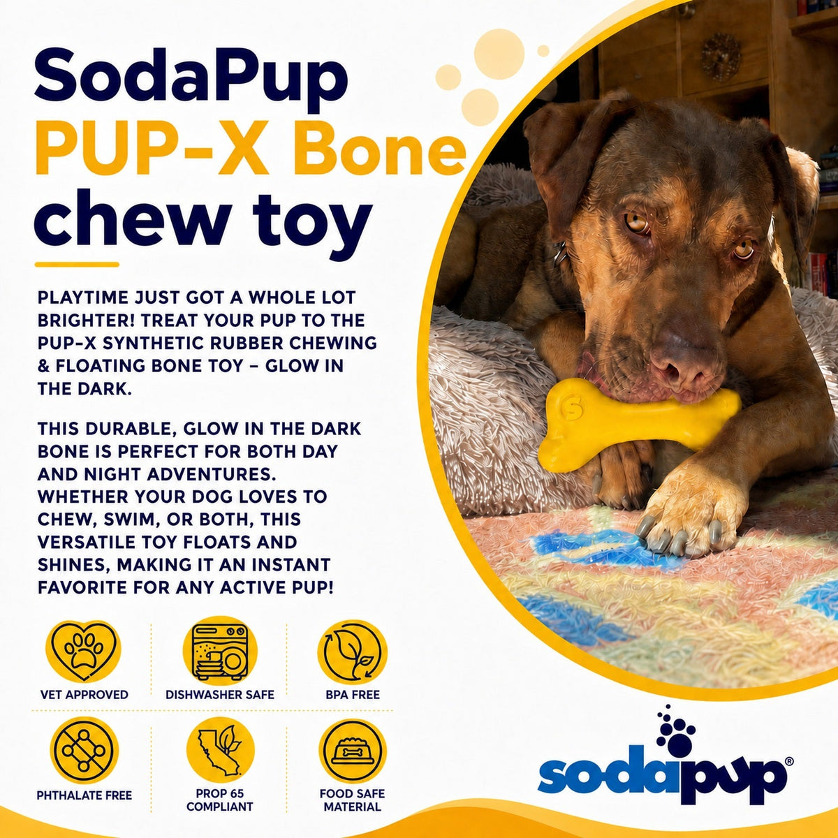 PUP-X Rubber Bone Chew Toy