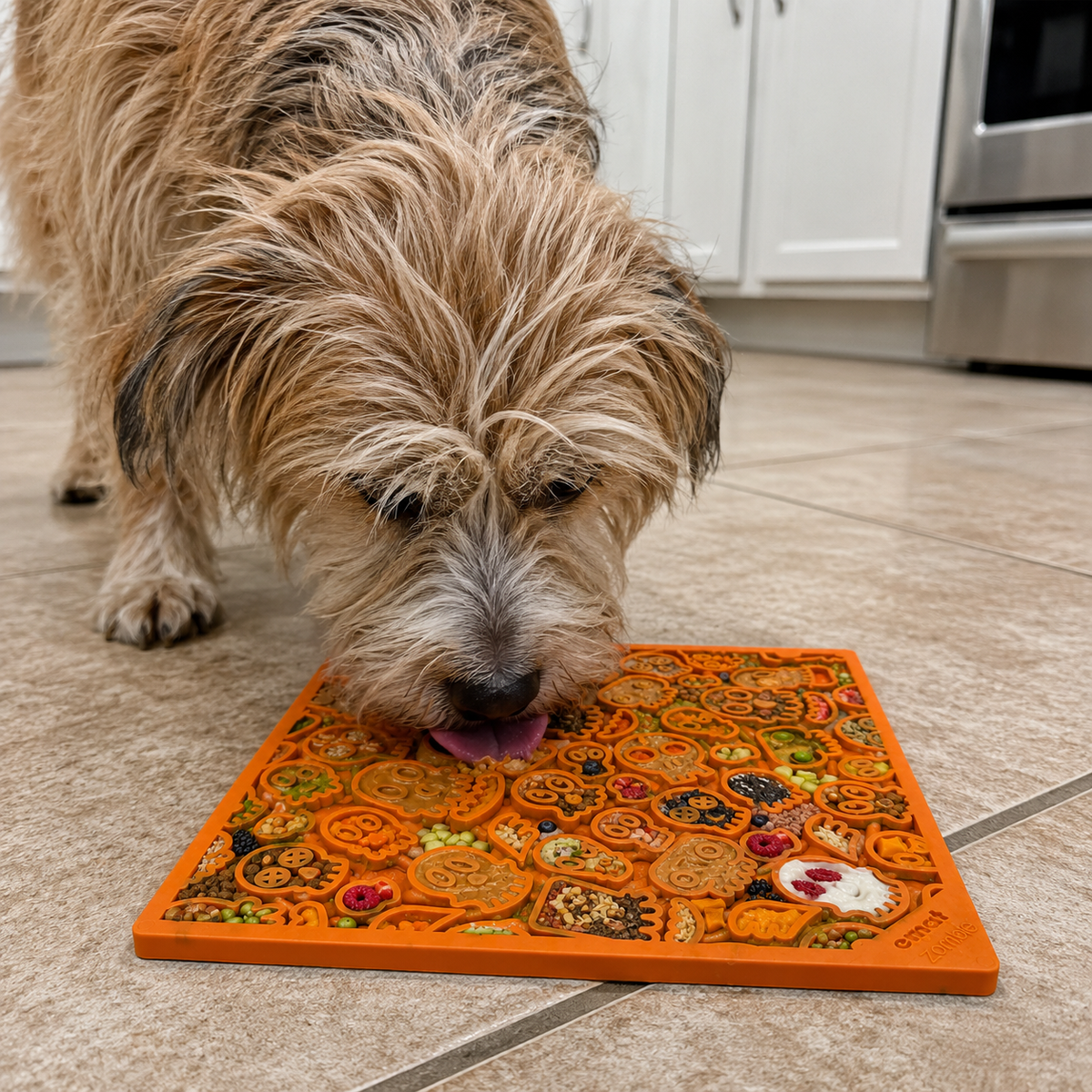Zombie eMat Halloween Skull Design Lick Mat