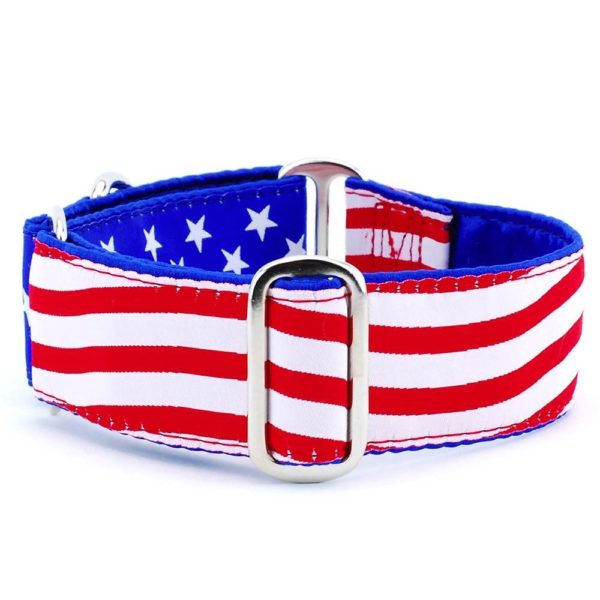 Stars and Stripes Exclusive Dog Collar by 2 Hounds Design, sold through Sniff and Shift