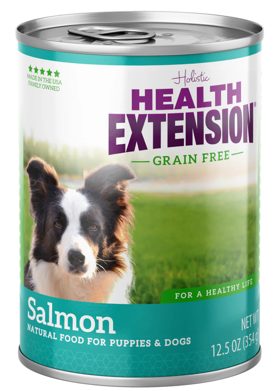 12.5oz can of Health Extension Grain Free Salmon wet dog food topper