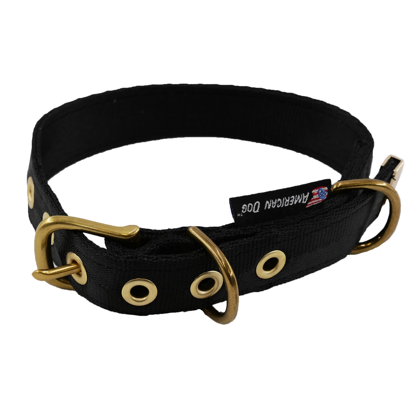 Collars Seatbelt Dog Collar