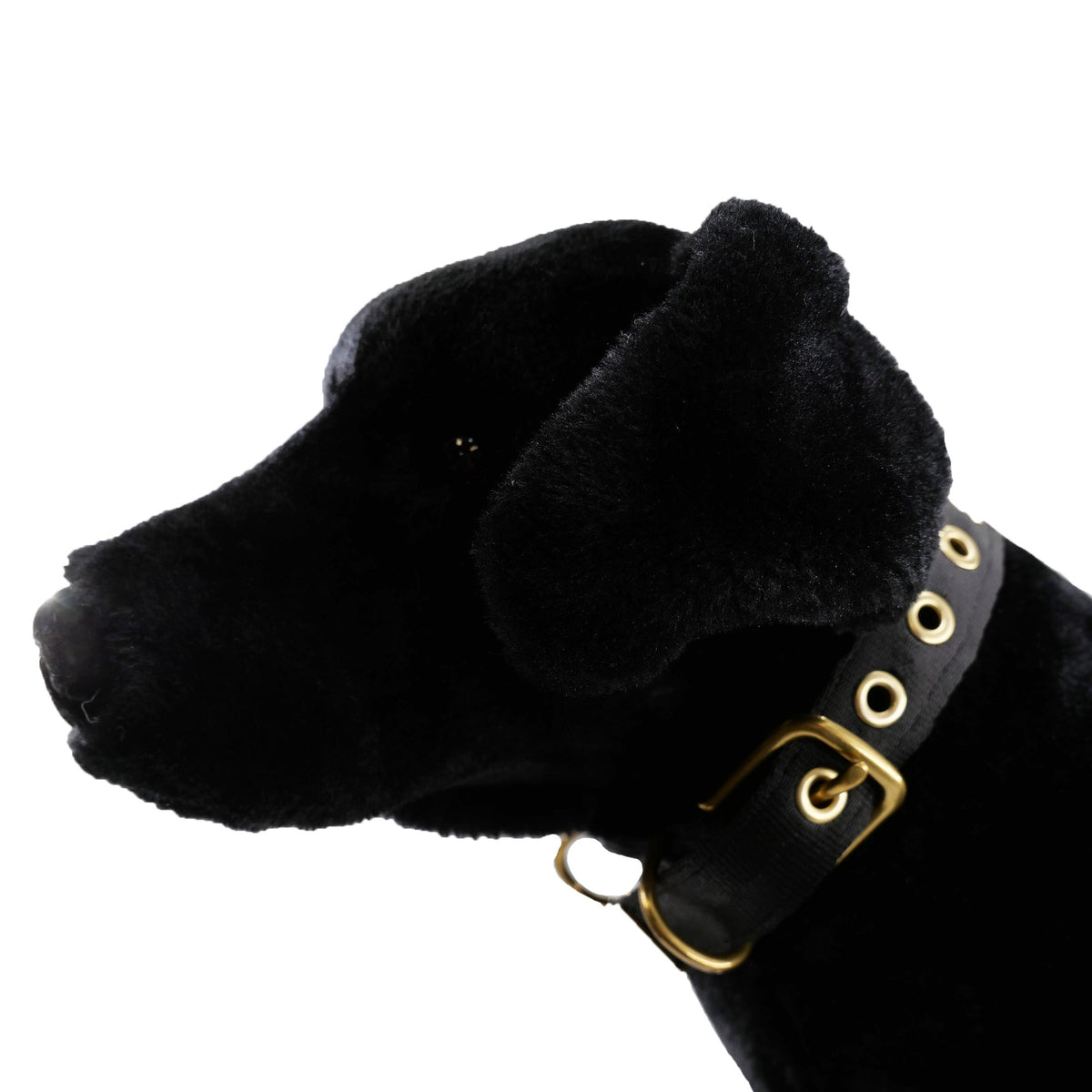 Collars Seatbelt Dog Collar