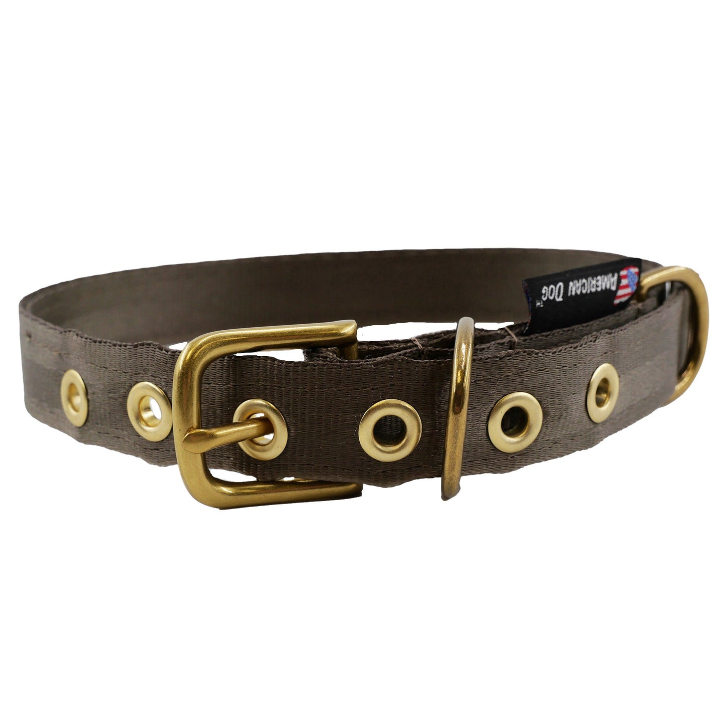 Collars Seatbelt Dog Collar