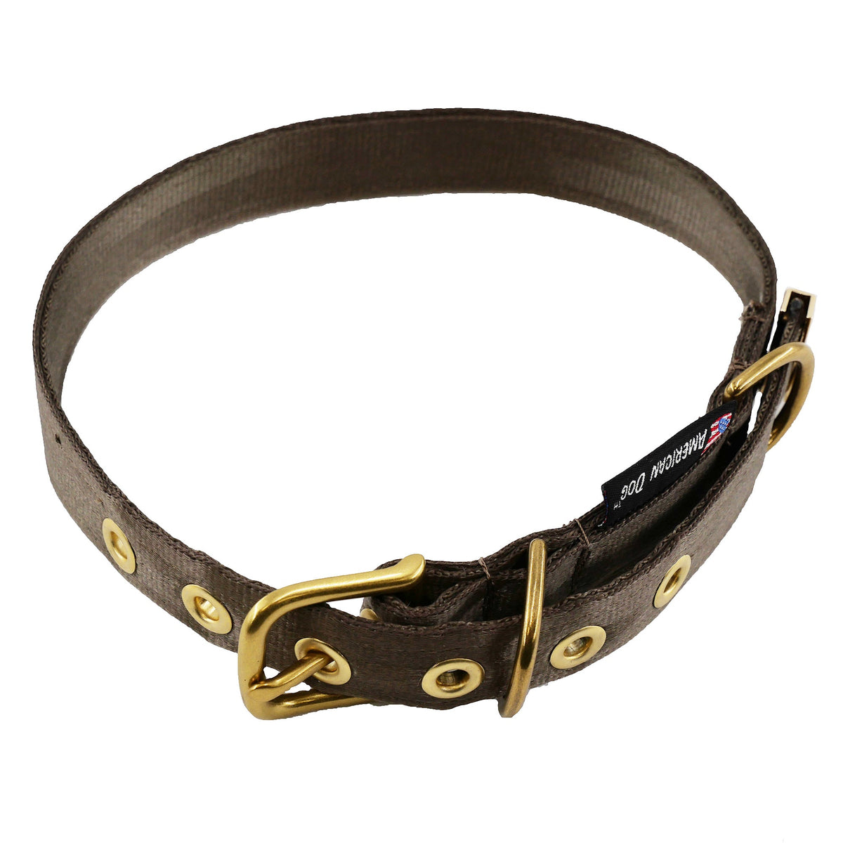 Collars Seatbelt Dog Collar