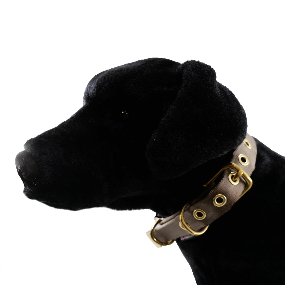 Collars Seatbelt Dog Collar
