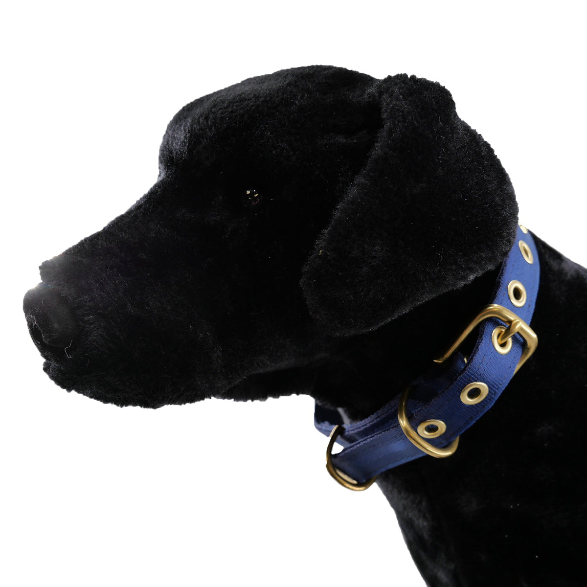 Collars Seatbelt Dog Collar