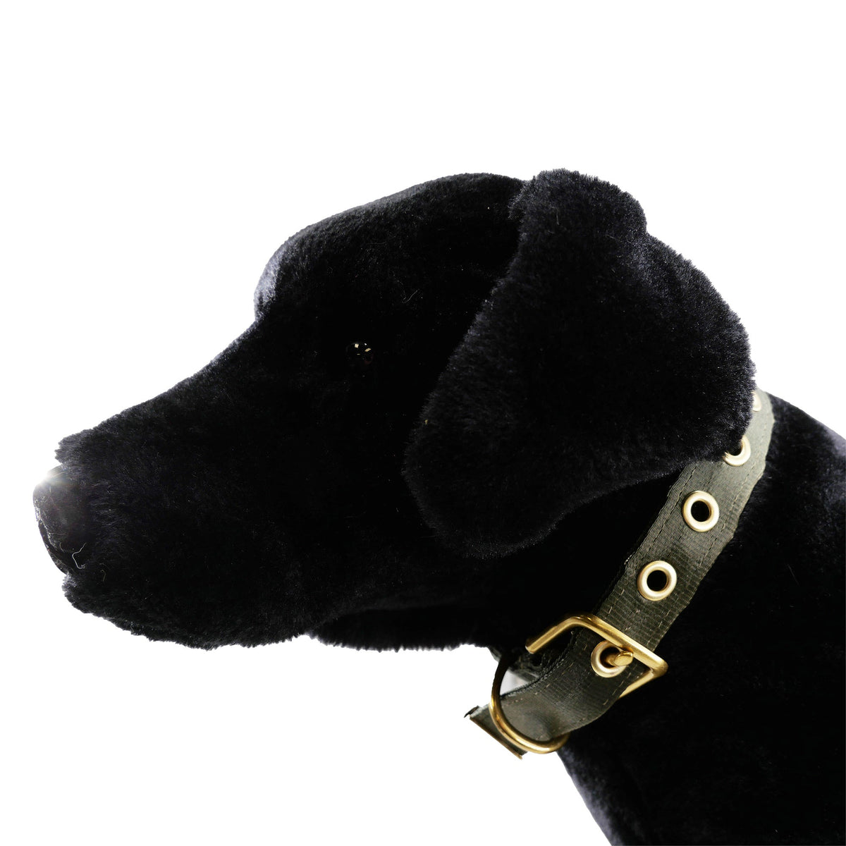 Collars Seatbelt Dog Collar