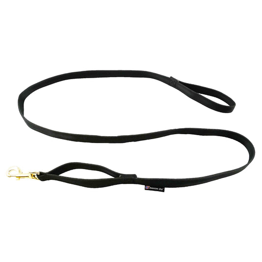 Seatbelt dog leash by American Dog in black seatbelt webbing with brass hardware
