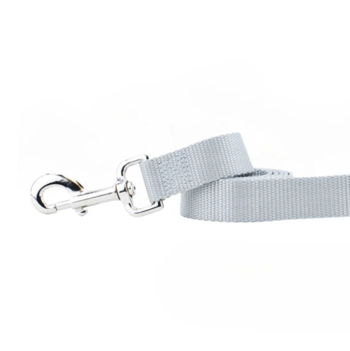 Silver Nylon Dog Leash by 2 Hounds Design, sold through Sniff and Shift