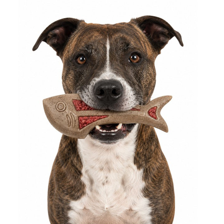 Dog Fish Nylon Chew Toy