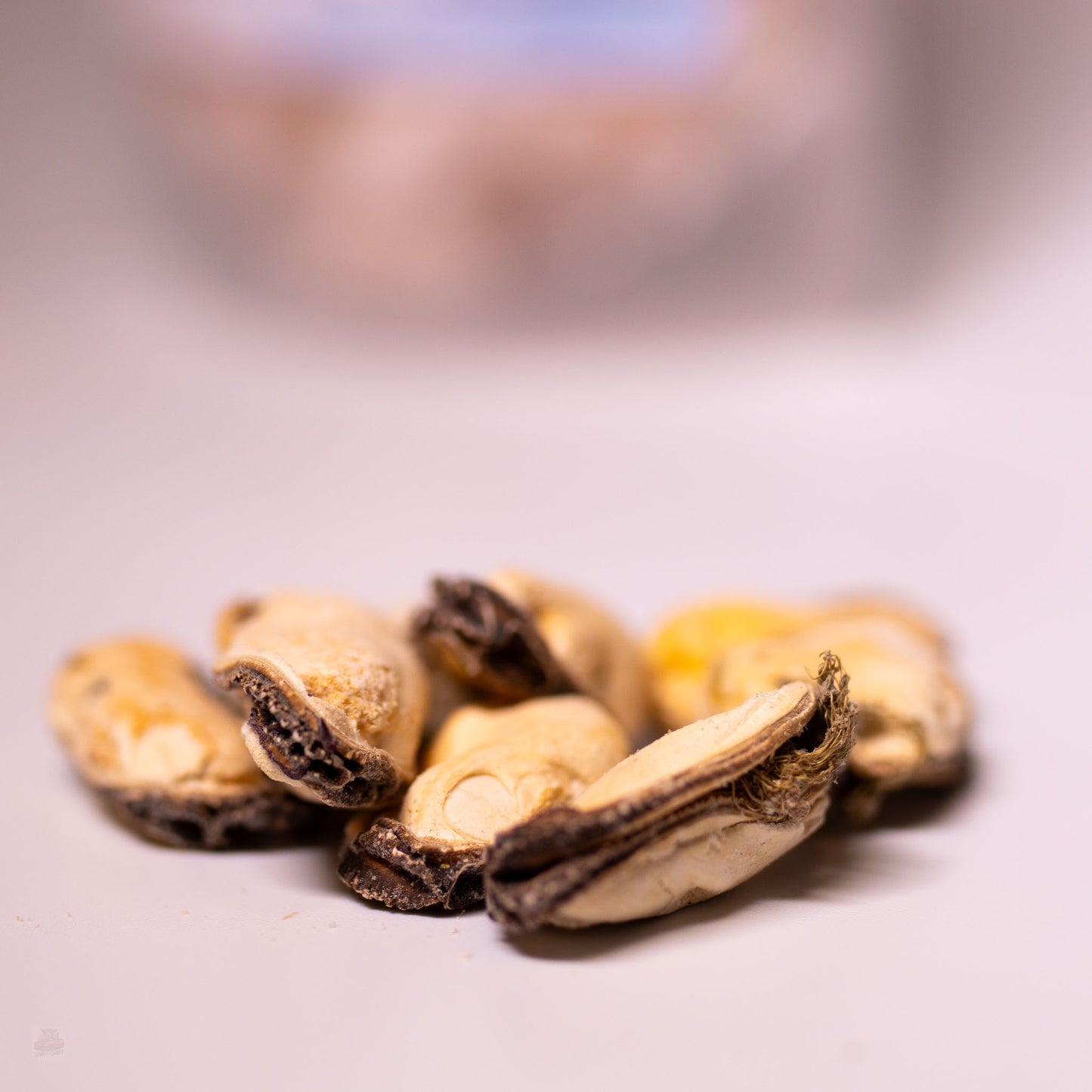 freeze dried mussels for dogs