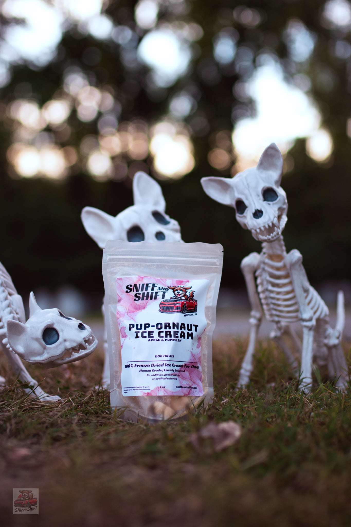 Pup-Ornaut Ice Cream – Pumpkin & Apple (Ghost & Pumpkin Shapes) | Limited Edition