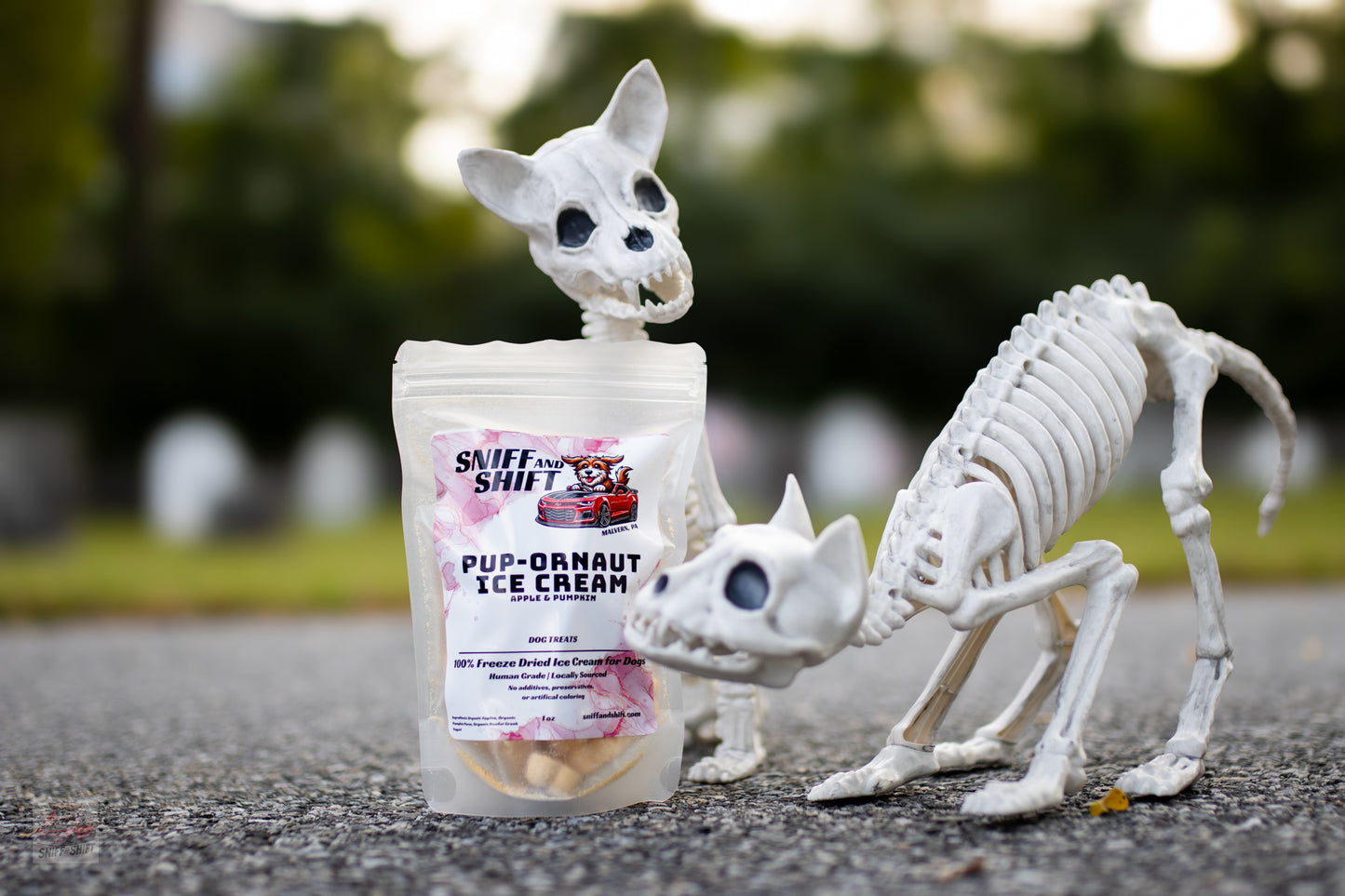 Pup-Ornaut Ice Cream – Pumpkin & Apple (Ghost & Pumpkin Shapes) | Limited Edition