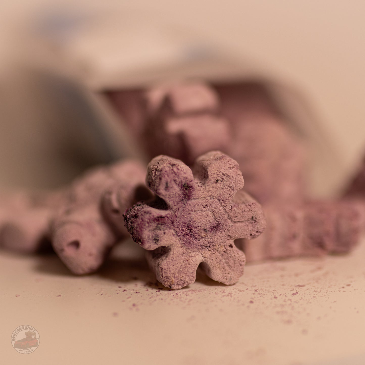 Blueberry Pup-Ornaut Ice Cream