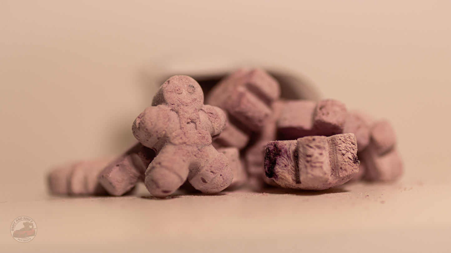 Blueberry Pup-Ornaut Ice Cream