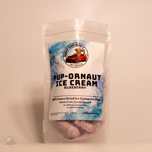 Blueberry Pup-Ornaut Ice Cream
