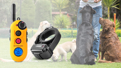 Barkless Pro anti-bark collar by E-Collar Technologies