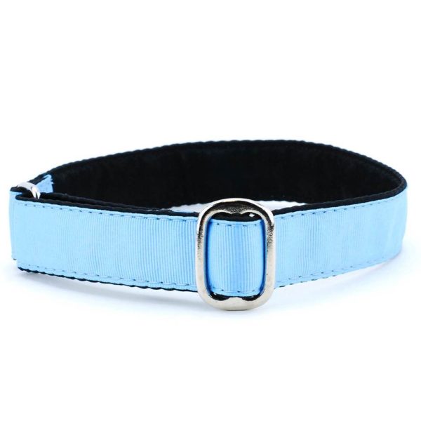 Grosgrain Jingle Free Tag Dog Collar 1″