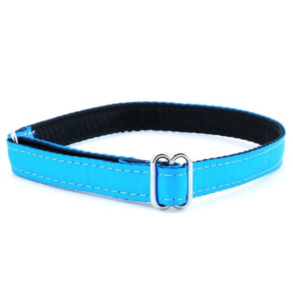 Grosgrain Jingle Free Tag Dog Collar 5/8″