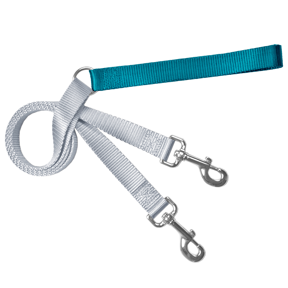 Training Leash