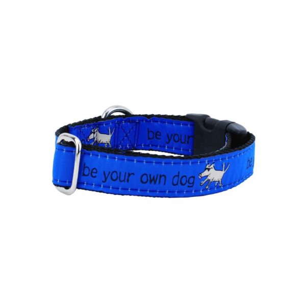 Be Your Own Dog Teddy The Dog Blue Essential Dog Collar 1″ by 2 Hounds Design, sold through Sniff and Shift