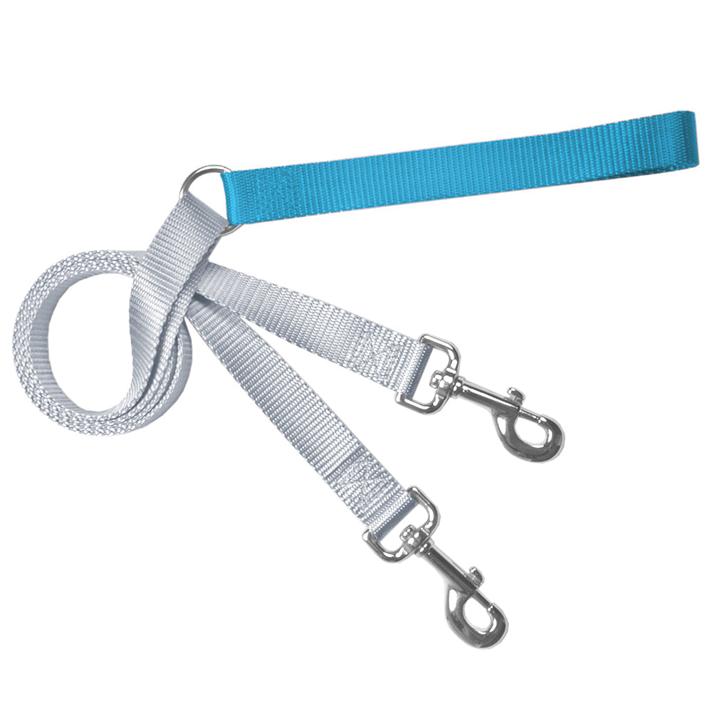 Training Leash