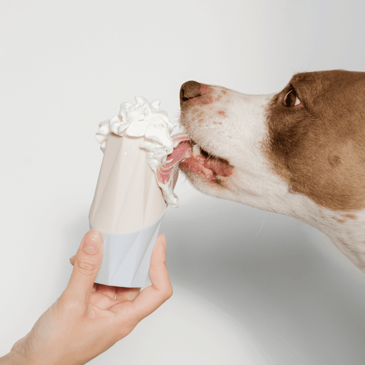 A hand holding the Ubbe licking toy by Up Dog Shop topped with a soft white filling while a brown and white dog licks it