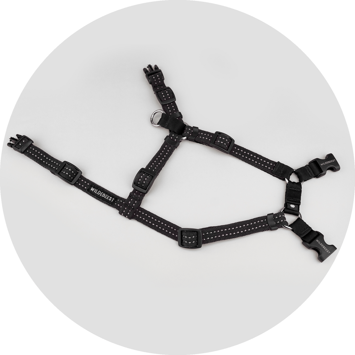 Valencia No-Pull Dog Harness