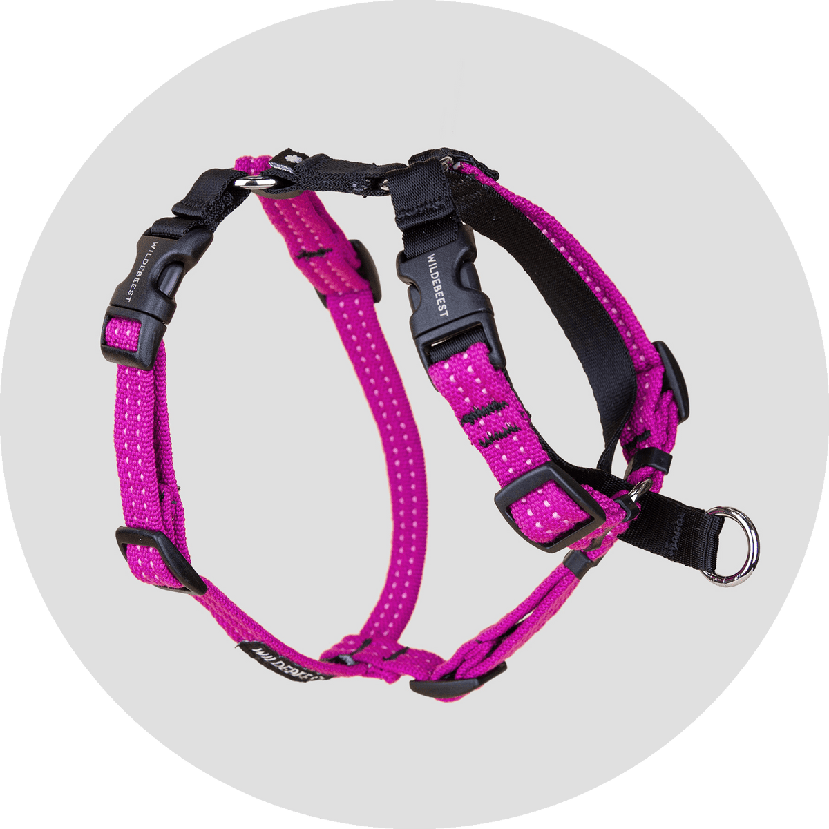 Valencia No-Pull Dog Harness