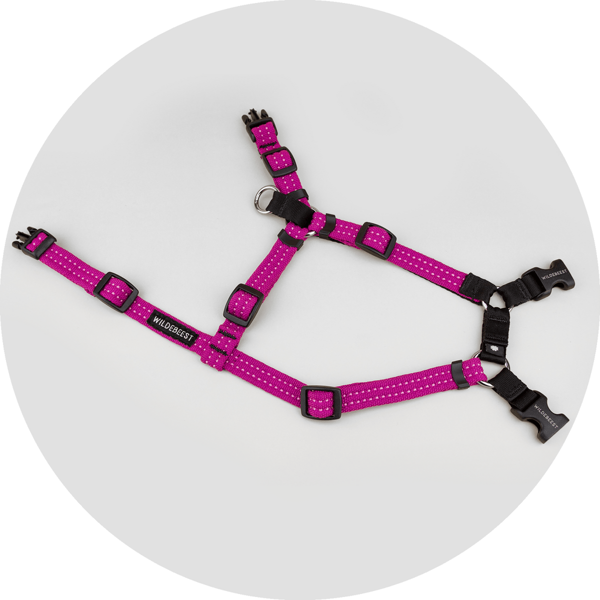 Valencia No-Pull Dog Harness