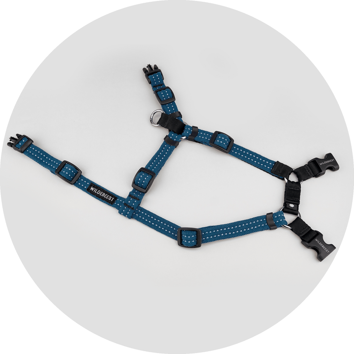 Valencia No-Pull Dog Harness