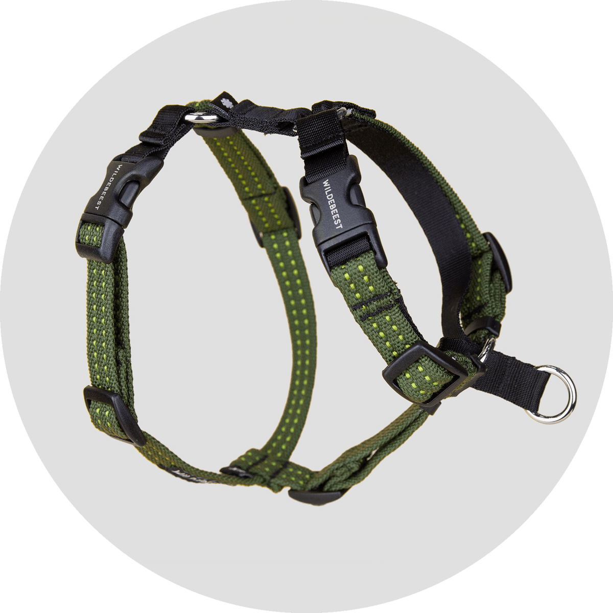 Valencia No-Pull Dog Harness