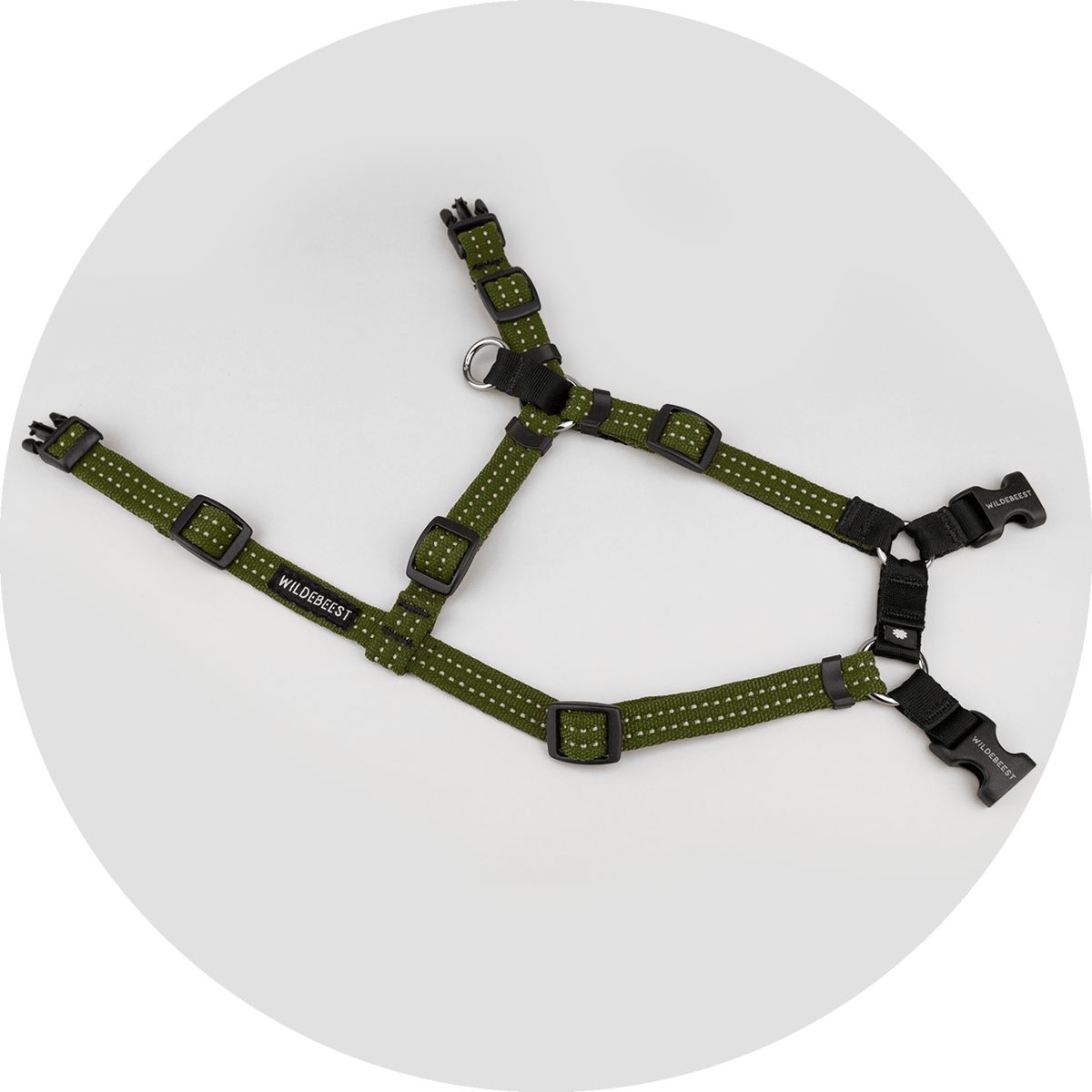 Valencia No-Pull Dog Harness