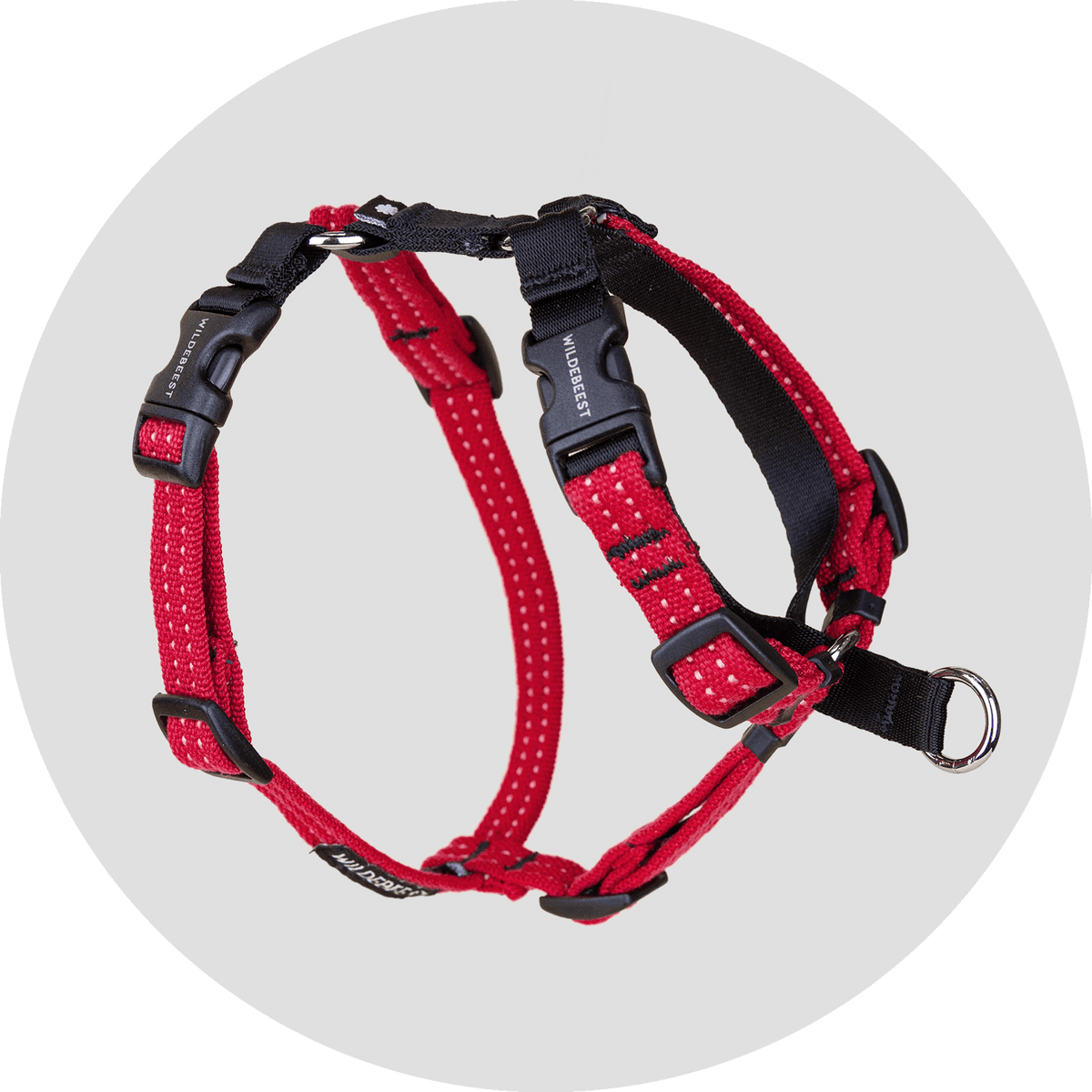 Valencia No-Pull Dog Harness