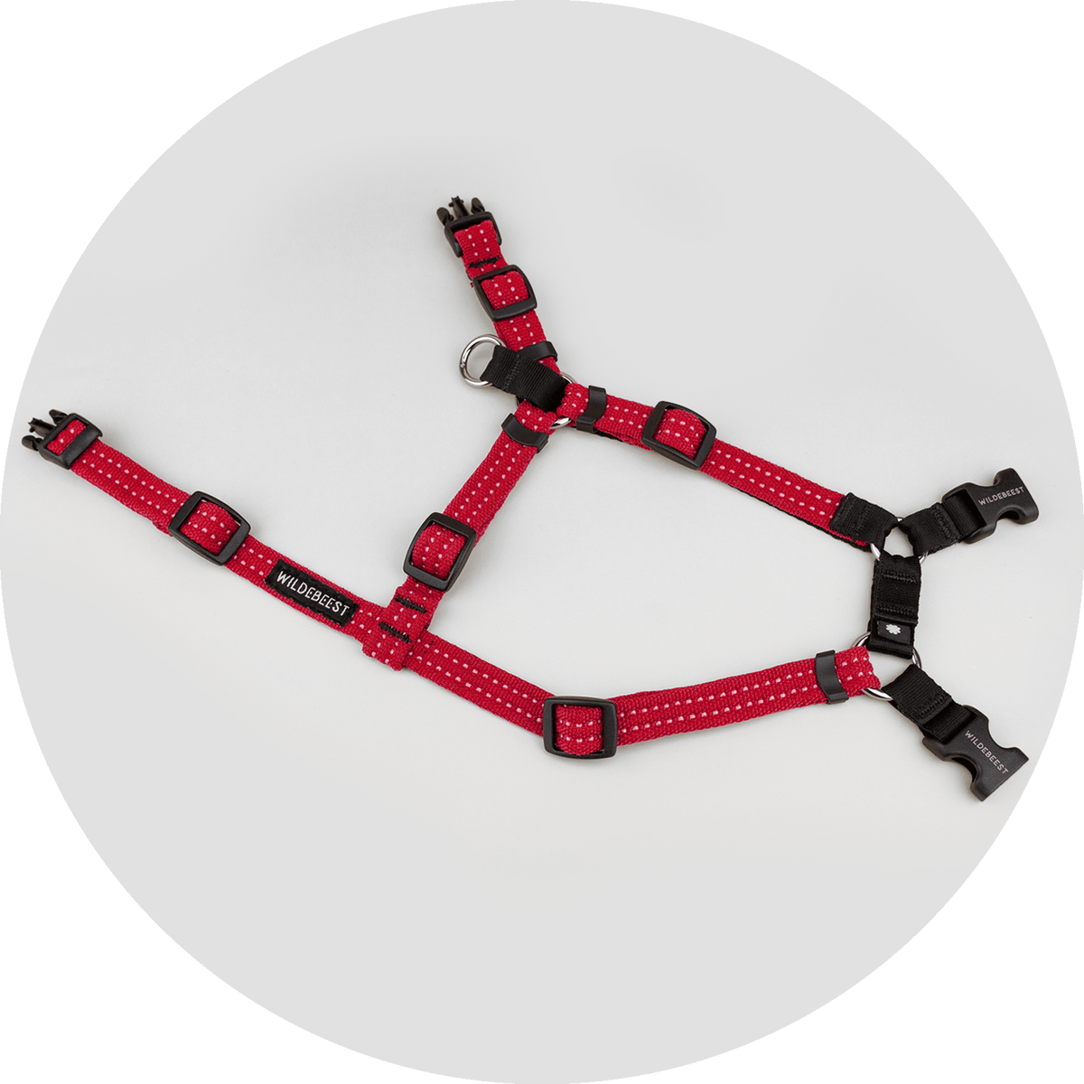 Valencia No-Pull Dog Harness