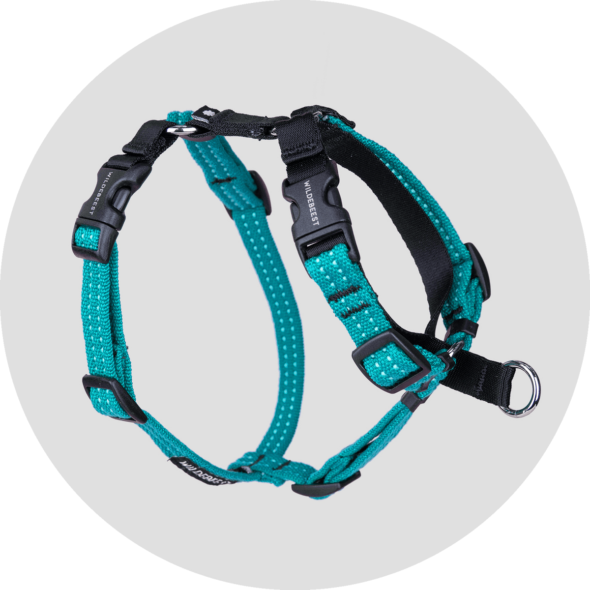 Valencia No-Pull Dog Harness
